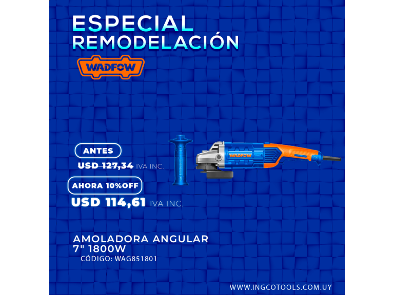 ESPECIAL RENOVACION DE SEPTIEMBRE 2023